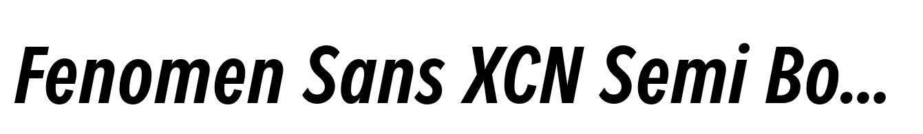 Fenomen Sans XCN Semi Bold Italic